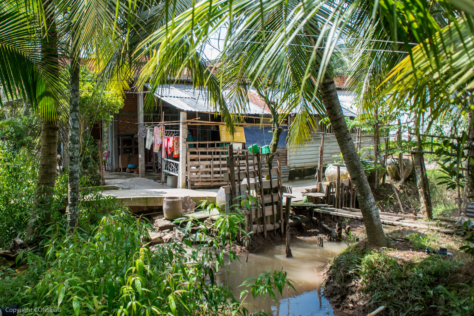 Mekong Delta House