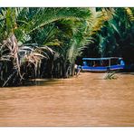 Mekong Delta I