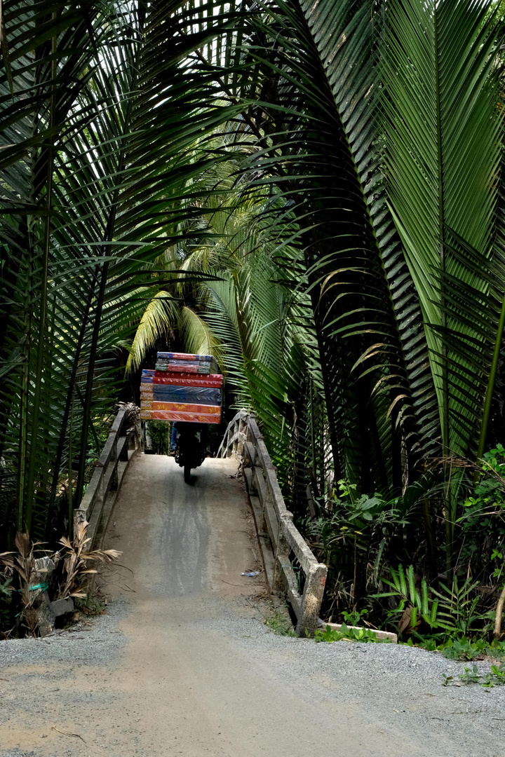 Mekong Delta Transport der Matratzen mit Moped