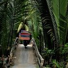 Mekong Delta Transport der Matratzen mit Moped