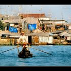 Mekong Delta V