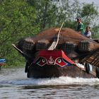 Mekong Delta Vehicles