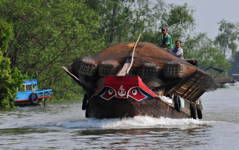 Mekong Delta Vehicles