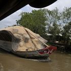 Mekong Delta Vehicles