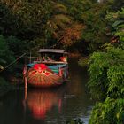 Mekong Delta Vehicles