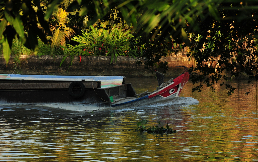 Mekong Delta Vehicles