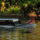 Mekong Delta Vehicles