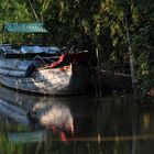 Mekong Delta Vehicles