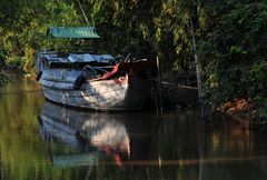 Mekong Delta Vehicles