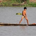 Mekong fishing