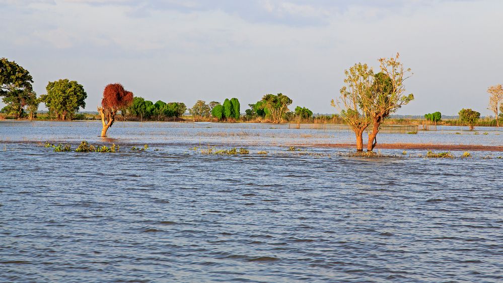 Mekong II