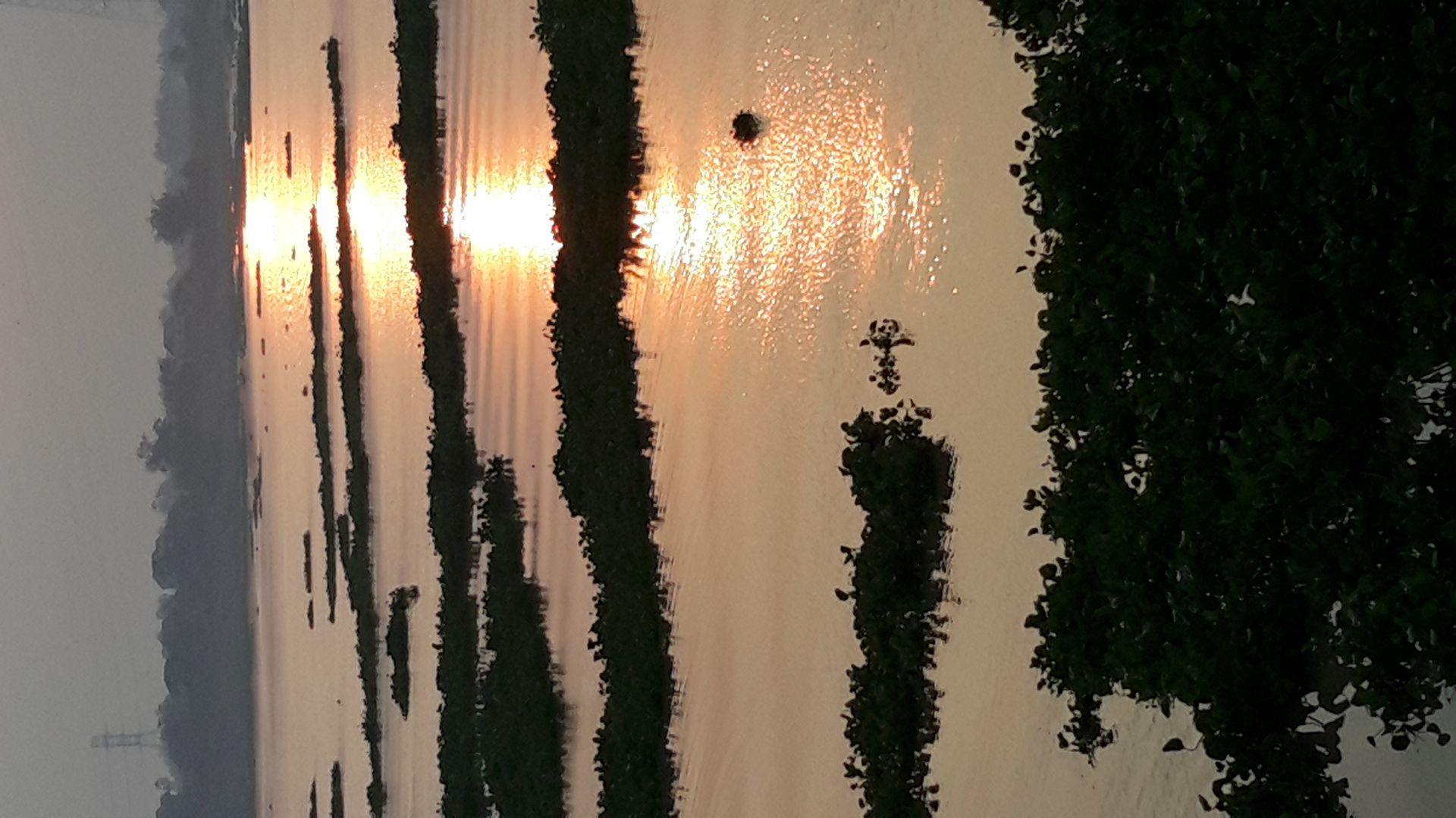 Mekong in the Morning