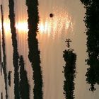 Mekong in the Morning