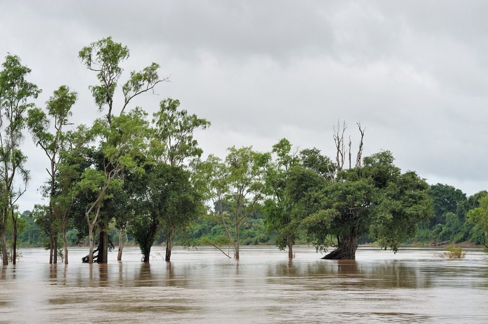 Mekong near Lao border