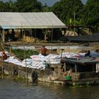 Mekong, Reistransporter