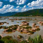 Mekong river at Nong Pla Buek