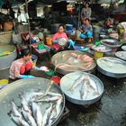 Mekong, Sadec, Fischmarkt