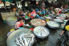 Mekong, Sadec, Fischmarkt