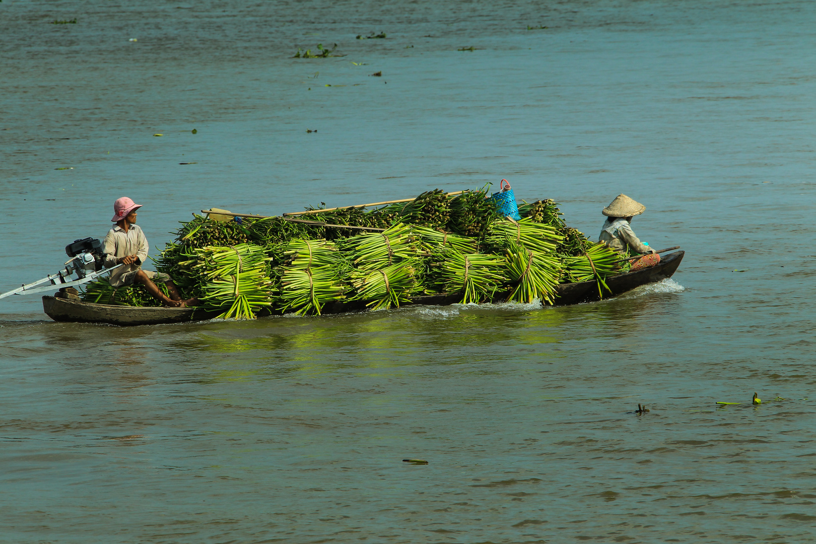 Mekong, Staudentransporter