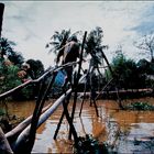 Mekongdelta: Affenbrücke