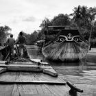 mekong.delta.blues