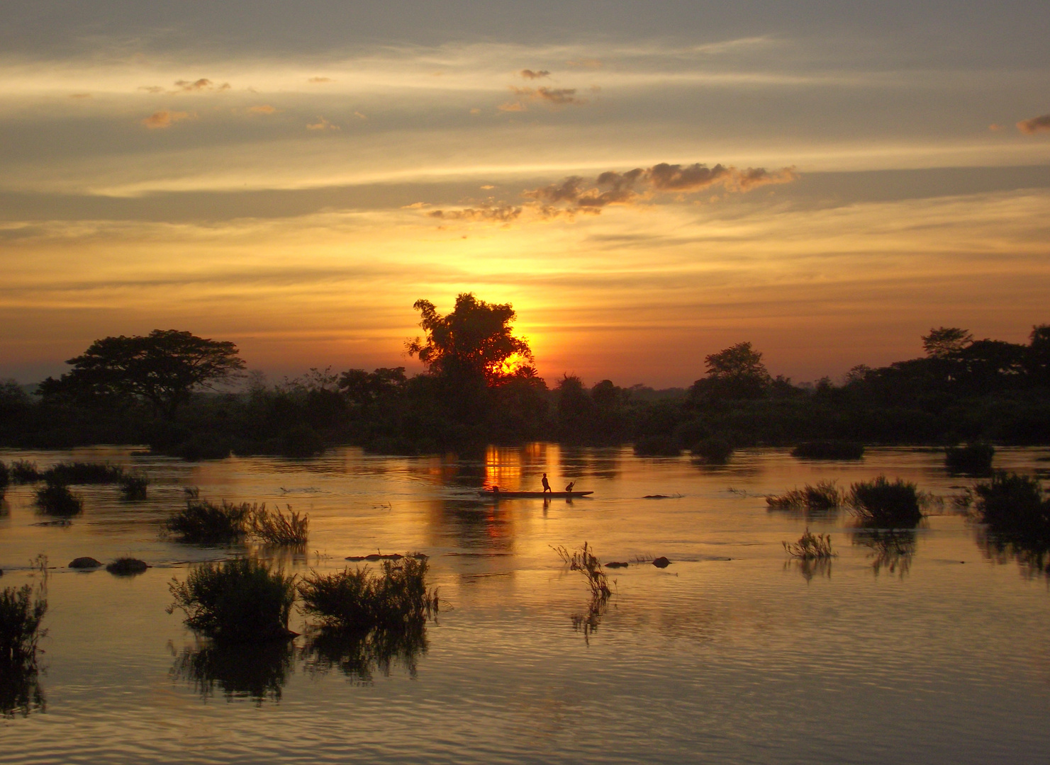 mekongfischer