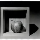 Mela (still life serie)