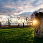 Melancholia  (Halle - Heine Park)