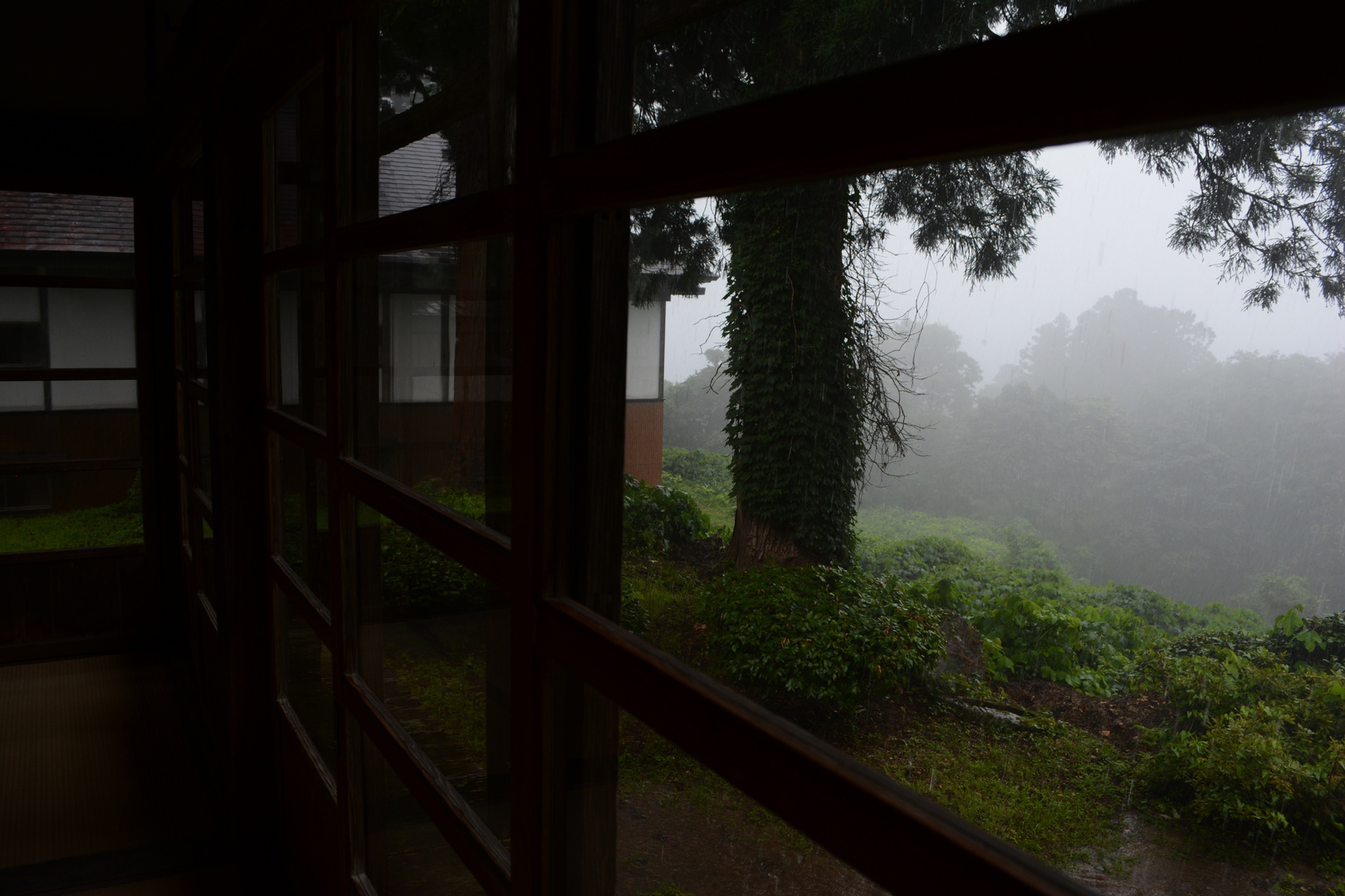 Melancholic rain in Hagurosan