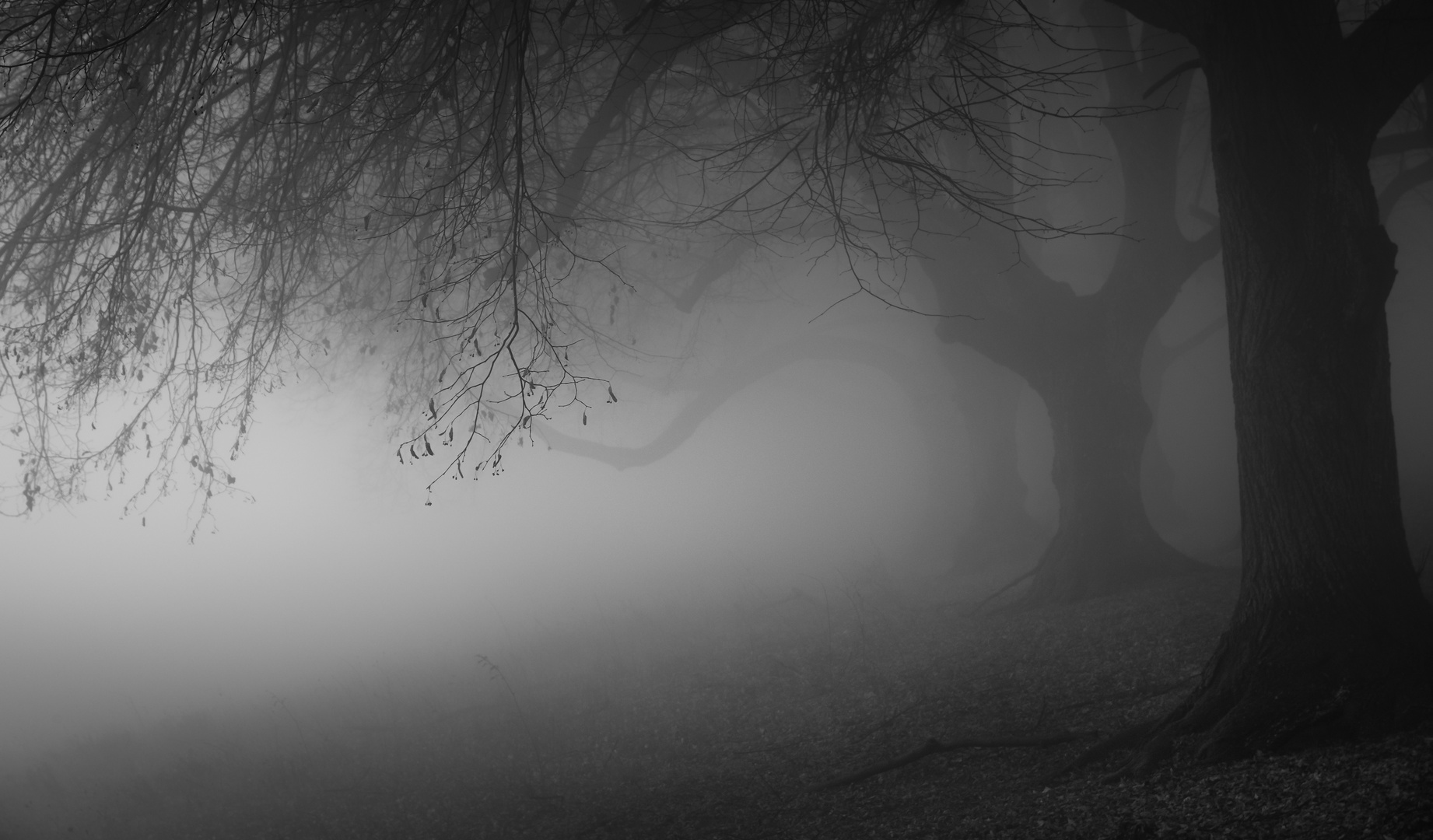 Melancholie Foto & Bild deutschland, europe, baden württemberg