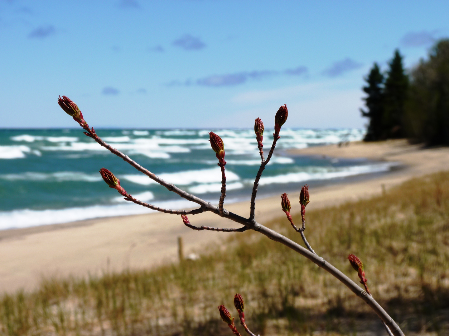 Melancholie am Strand