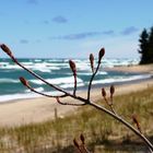 Melancholie am Strand