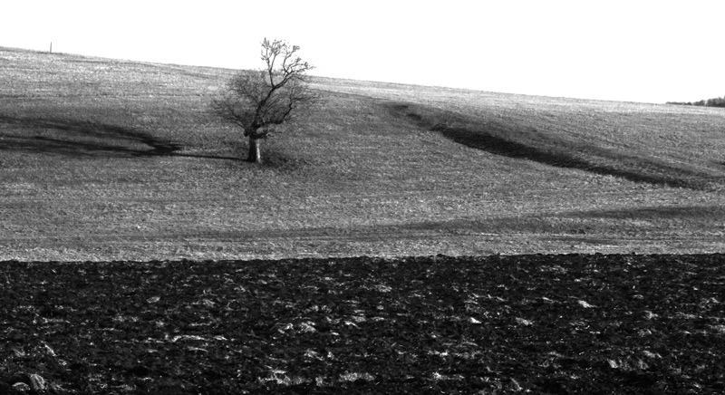 Melancholie de la campagne