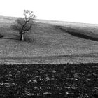 Melancholie de la campagne