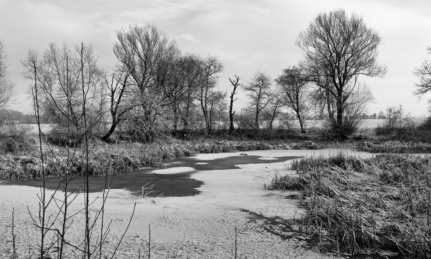 Melancholie eine trüben Wintertages