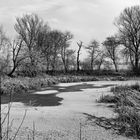 Melancholie eine trüben Wintertages