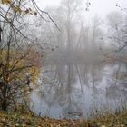 Melancholie eines trüben Herbsttages