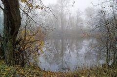 Melancholie eines trüben Herbsttages