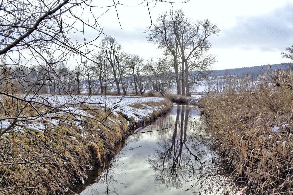 Melancholie eines trüben Wintertages