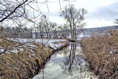 Melancholie eines trüben Wintertages