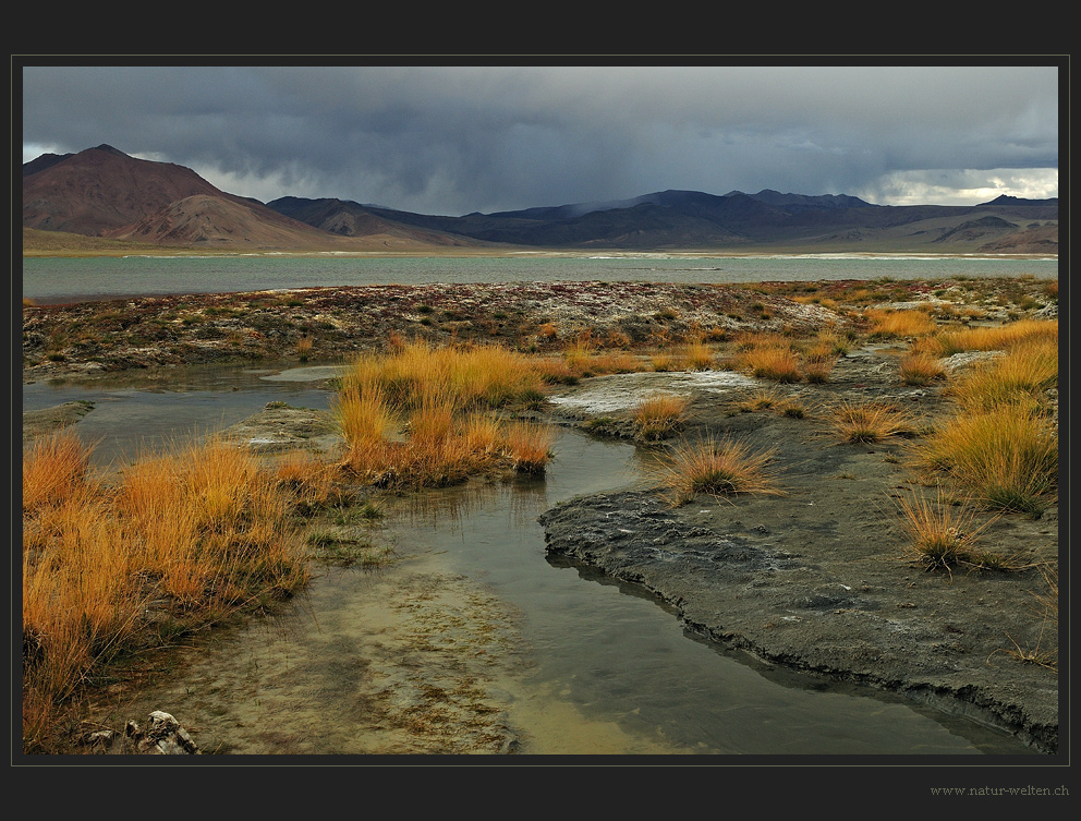 Melancholie in der Landschaft