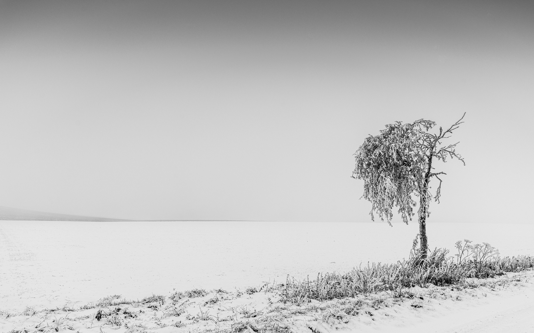 Melancholie in Weiß