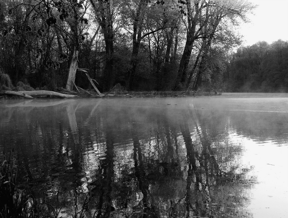 Melancholie mit Frühnebel