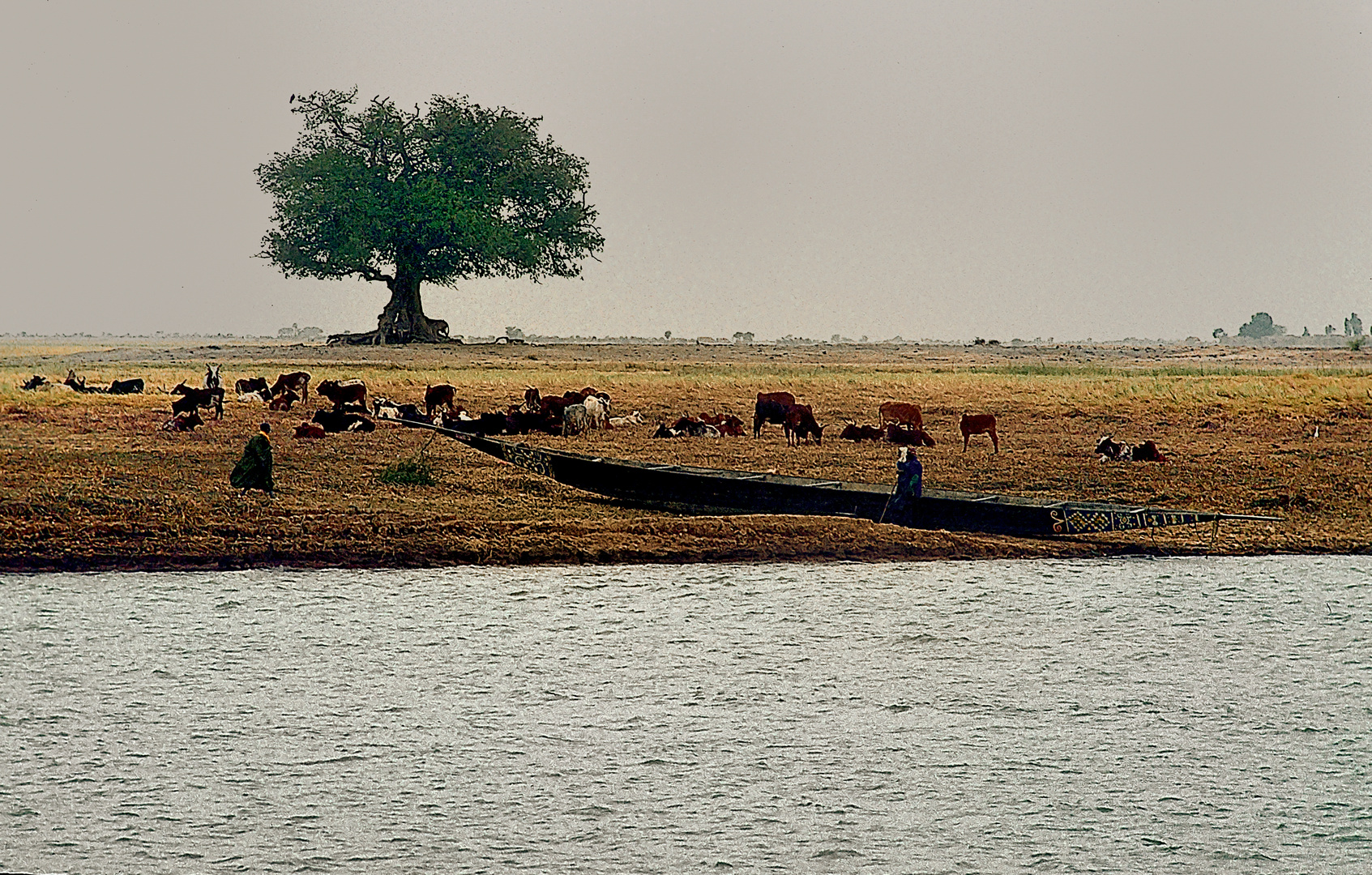 Melancholische Landschaft am Niger