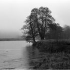 Melancholischer Ausblick