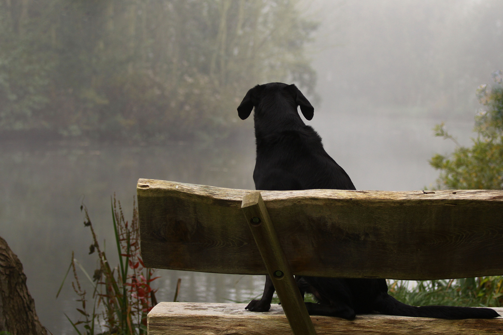 Melancholischer Herbstmorgen