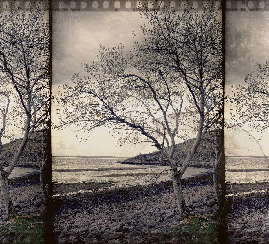 Melancholy at Loch Linnhe