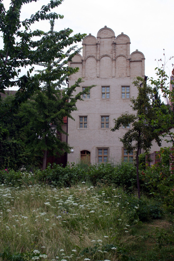 Melanchtonhaus - Kräutergarten