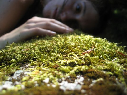 Melancolía en el bosque