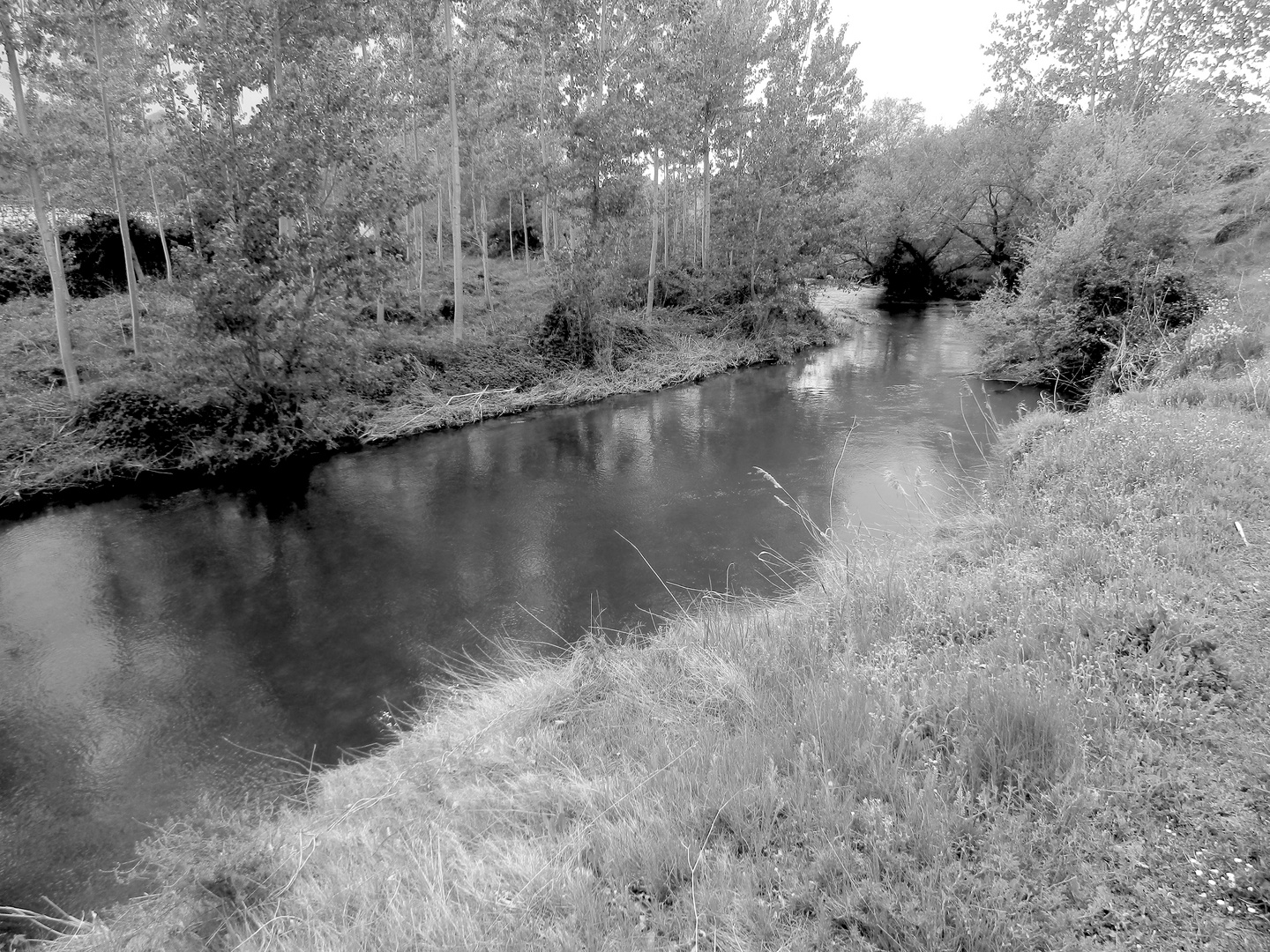 Melancolía en el río.